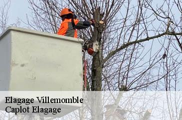 Elagage  villemomble-93250 Caplot Elagage