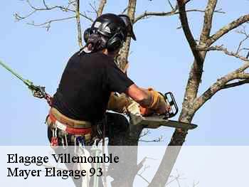 Elagage villemomble-93250 Mayer Elagage 93
