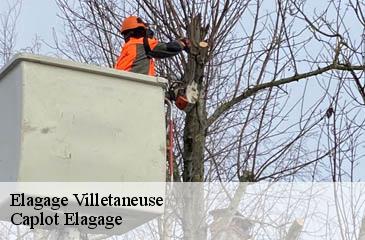 Elagage  villetaneuse-93430 Caplot Elagage