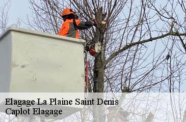Elagage  la-plaine-saint-denis-93210 Caplot Elagage