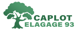 elagage-caplot-elagage